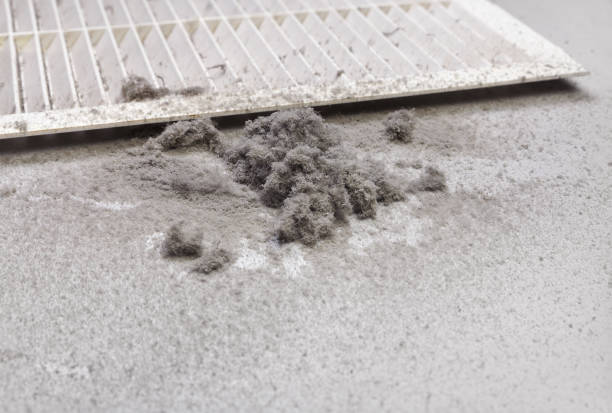 Best Local Air Duct Cleaning Services  in Colona, IL