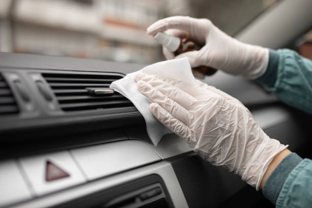 Best Air Duct Mold Removal  in Colona, IL