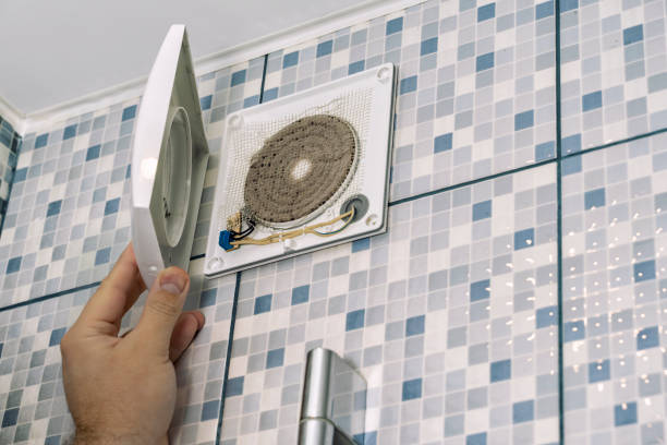 Best Affordable Air Duct Cleaning  in Colona, IL