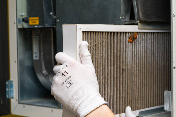 Best HVAC Duct Inspection Services  in Colona, IL