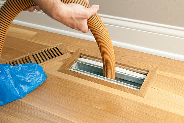 Best HVAC Air Duct Cleaning  in Colona, IL