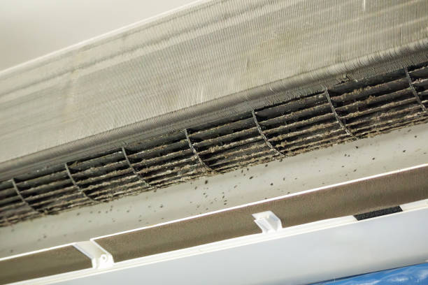 Best Commercial HVAC Duct Cleaning  in Colona, IL